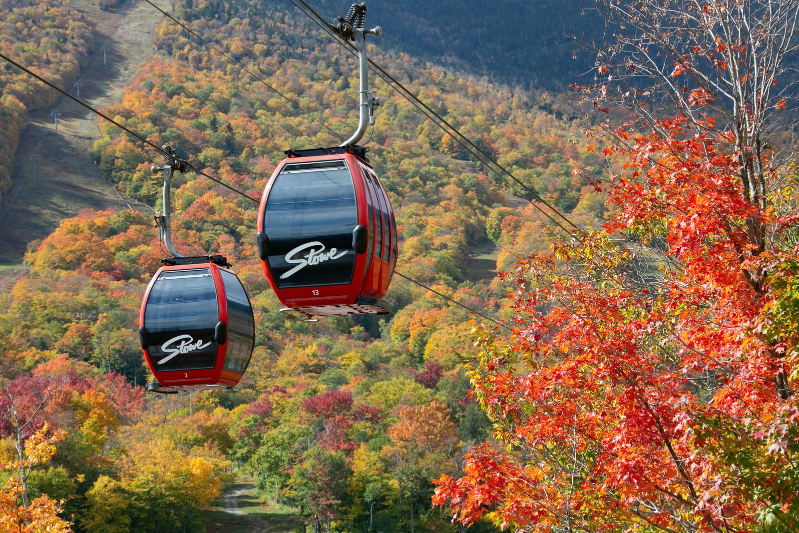 Gondola Sky Ride Gondola Sky Ride