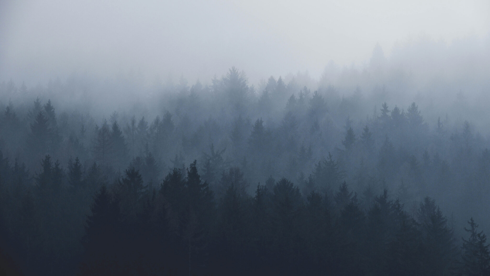 mobile-banner